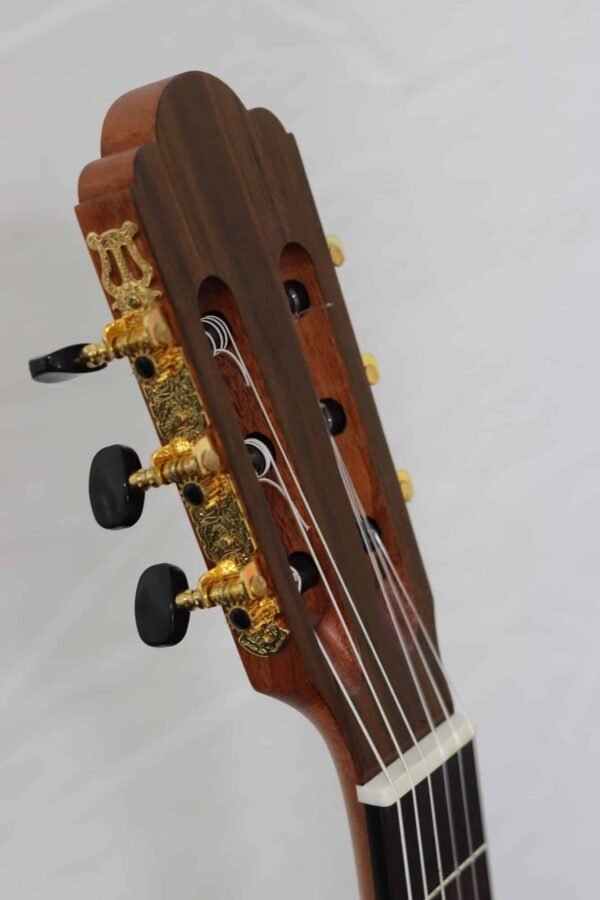 prodipe-guitars-primera-manche